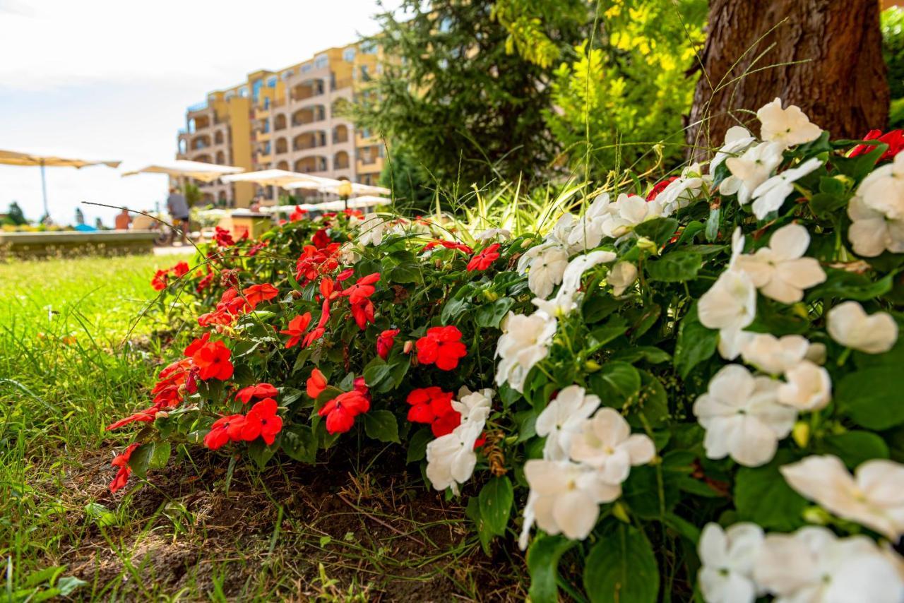 Menada Grand Resort Apartments アヘロイ エクステリア 写真